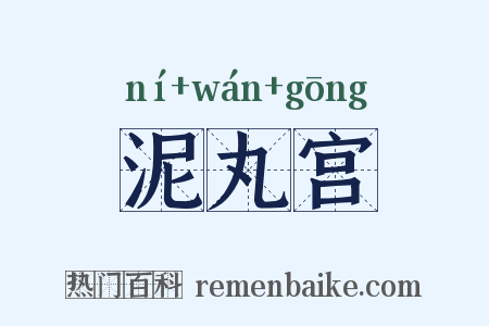泥丸宫是什么意思的图片